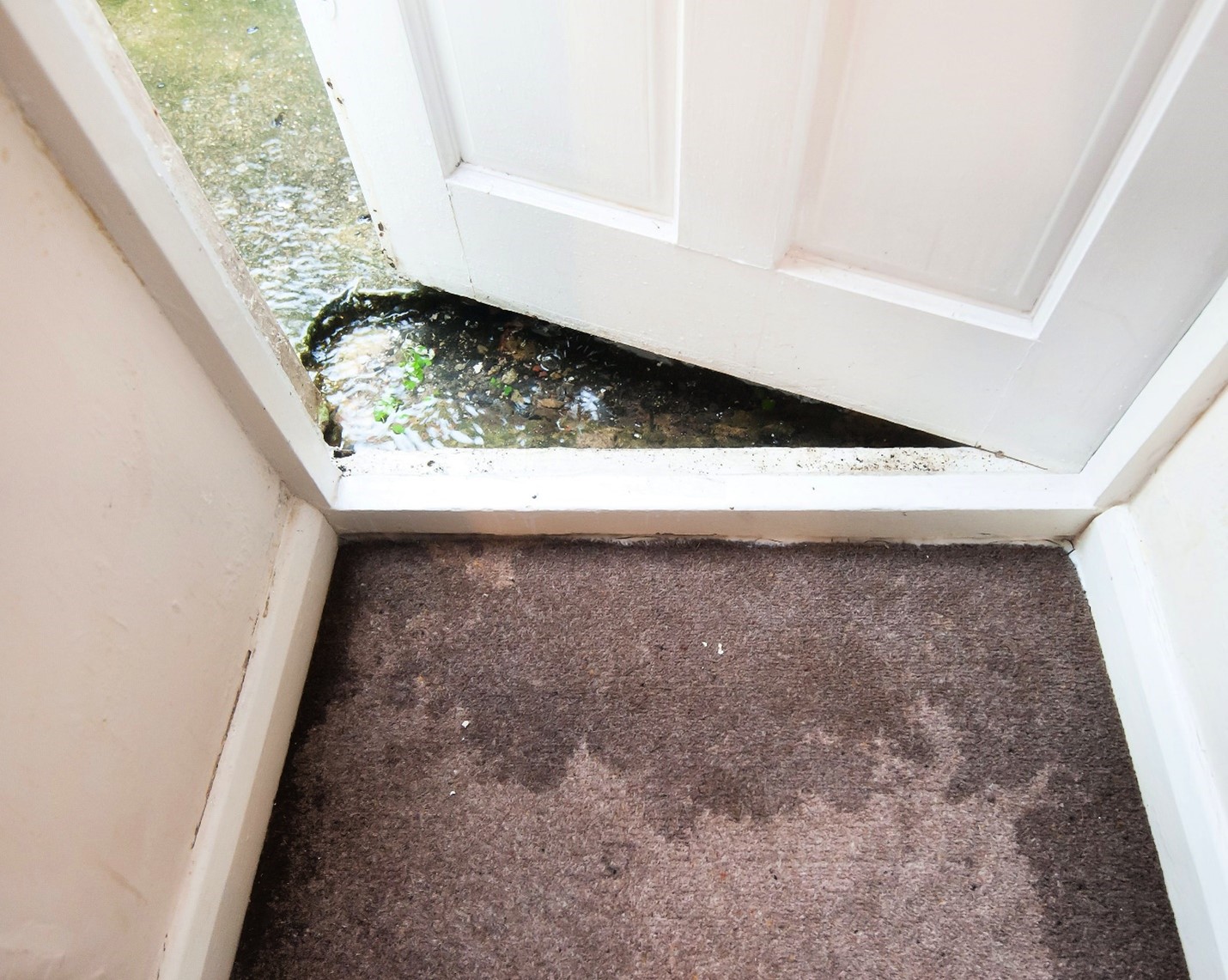 An above shot of a wet carpeted floor. There is a door opening to show flooded ground.