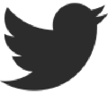 twitter logo
